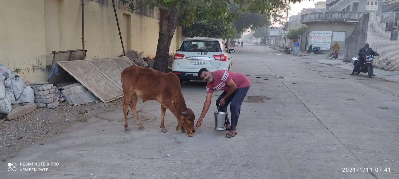 ભાયાવદર શહેરમાં ઉત્તરાયણ પર્વની અનોખી રીતે ઉજવણી કરતા યુવા ગ્રુપ 3 ભાયાવદર શહેરમાં ઉત્તરાયણ પર્વની અનોખી રીતે ઉજવણી કરતા યુવા ગ્રુપ