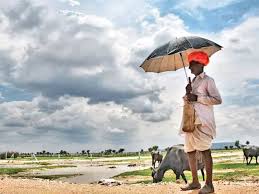 હીટ વેવ બાદ 26 અને 27 એપ્રિલે કમોસમી વરસાદની આગાહી 1 હીટ વેવ બાદ 26 અને 27 એપ્રિલે કમોસમી વરસાદની આગાહી