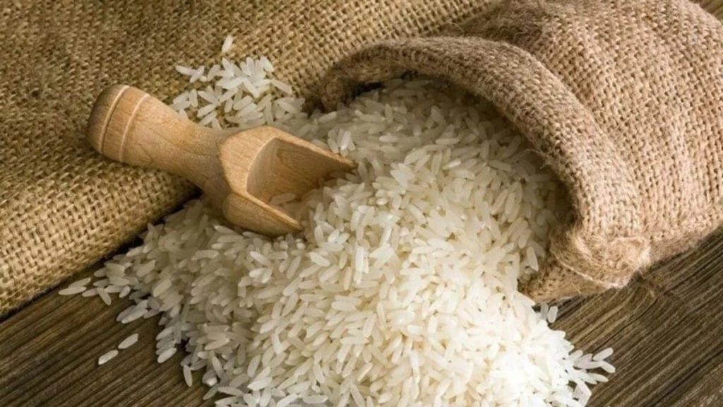 Joha rice : વૈજ્ઞાનિકોએ ભારતમાં પ્રાપ્ત સુગંધિત 'જોહા ચોખા'ના ન્યુટ્રાસ્યુટિકલ ગુણધર્મોની શોધ કરી 1 Joha rice : વૈજ્ઞાનિકોએ ભારતમાં પ્રાપ્ત સુગંધિત 'જોહા ચોખા'ના ન્યુટ્રાસ્યુટિકલ ગુણધર્મોની શોધ કરી