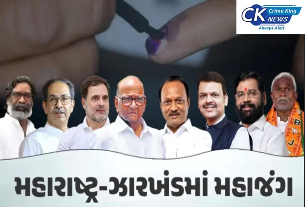 Assembly Election 2024 Voting 