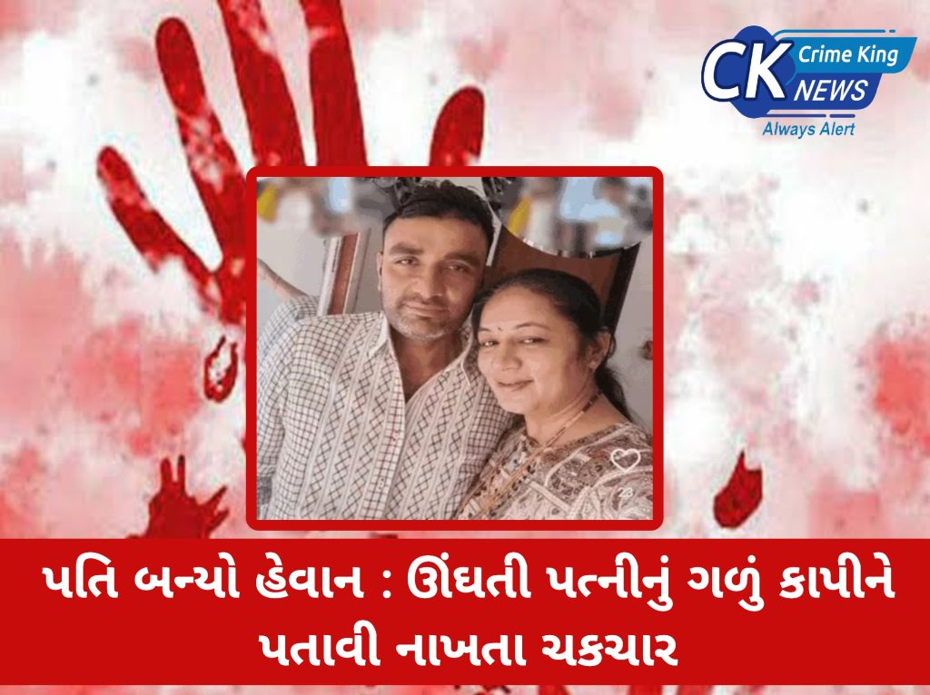 CRIME પતિ-પત્નીની ફાઈલ તસવીર