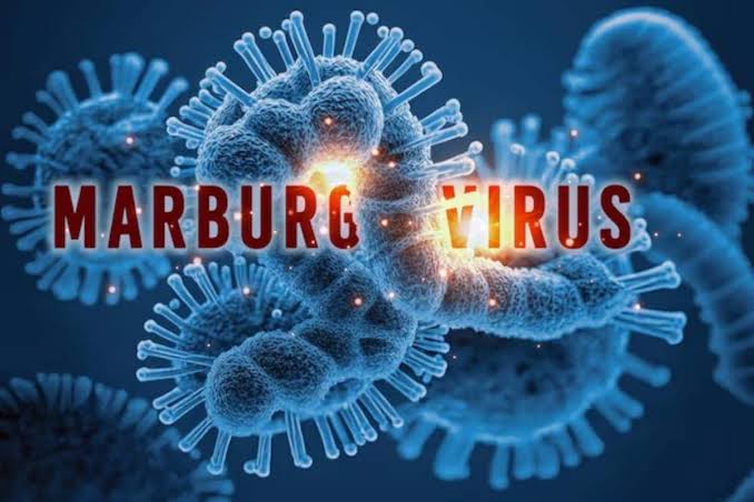 Marburg Virus : વધુ એક જીવલેણ વાયરસનો ખતરો, આ દેશમાં 15 લોકોના મોત, ભારત માટે કેટલો જોખમી? 1 Marburg Virus : વધુ એક જીવલેણ વાયરસનો ખતરો, આ દેશમાં 15 લોકોના મોત, ભારત માટે કેટલો જોખમી? Marburg Virus