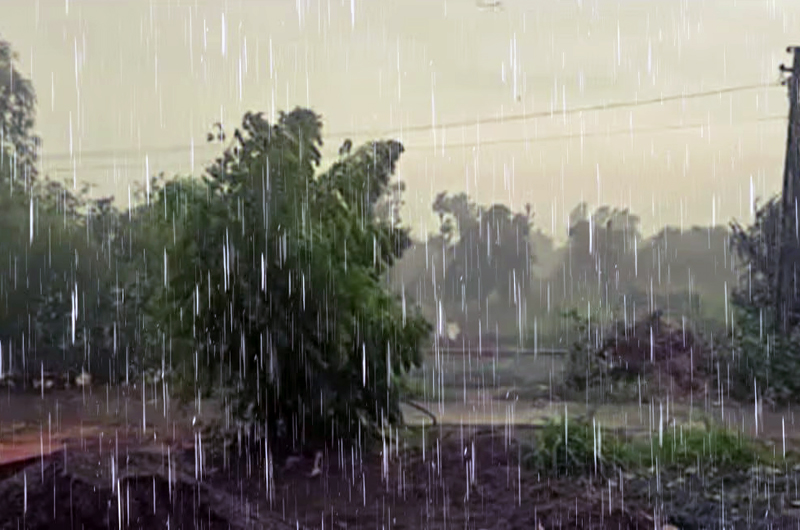Unseasonal rain predicted