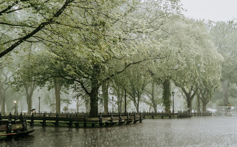 GUJARAT RAIN ACTIVE SYSTEM