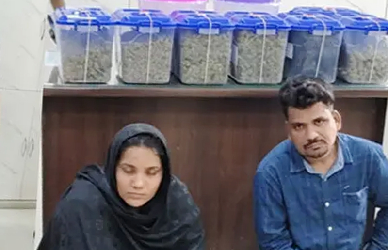 MUMBAI COUPLE ARRESTED WITH HYBRID GANJA : ગાંધીનગરમાં દિલ્હીથી બેંગ્લુરુ ડિલીવરી કરવા જઈ રહેલા મુંબઈના દંપતીને 2.38 કરોડના હાઈબ્રિડ ગાંજા સાથે ઝડપી પાડ્યો 1 MUMBAI COUPLE ARRESTED WITH HYBRID GANJA : ગાંધીનગરમાં દિલ્હીથી બેંગ્લુરુ ડિલીવરી કરવા જઈ રહેલા મુંબઈના દંપતીને 2.38 કરોડના હાઈબ્રિડ ગાંજા સાથે ઝડપી પાડ્યો MUMBAI COUPLE ARRESTED WITH HYBRID GANJA