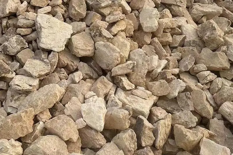 BAUXITE THEFT CAUGHT IN NAGRECHA : નાગ્રેચામાં બોક્સાઇટ ચોરી પકડાઇ, સ્થળ પરથી લોડર અને ડમ્પર કબ્જે કરવામાં આવ્યા 2 BAUXITE THEFT CAUGHT IN NAGRECHA : નાગ્રેચામાં બોક્સાઇટ ચોરી પકડાઇ, સ્થળ પરથી લોડર અને ડમ્પર કબ્જે કરવામાં આવ્યા BAUXITE THEFT CAUGHT IN NAGRECHA 1