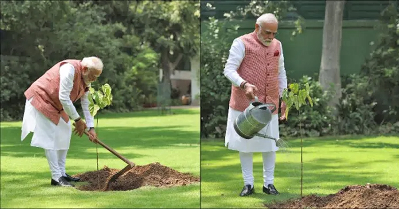 PM MODI PLANTS SINDOOR SAPLING