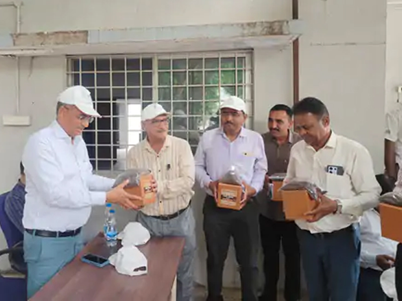 ECO FRIENDLY GANESHA IN GUJARAT