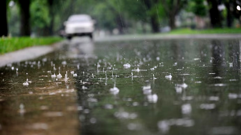 Gujarat Rain Alert