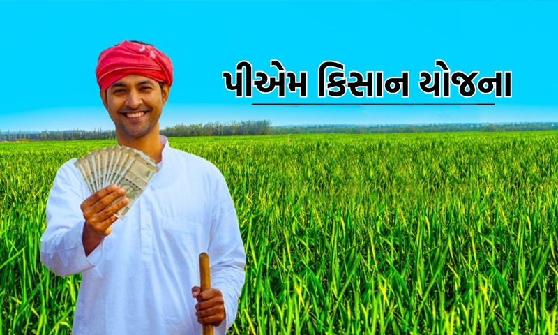 PM કિસાન યોજના સહિતના લાભ માટે રજિસ્ટ્રેશન અનિવાર્ય, મુદત પૂર્ણ થવામાં 5 દિવસ જ બાકી 1 PM કિસાન યોજના સહિતના લાભ માટે રજિસ્ટ્રેશન અનિવાર્ય, મુદત પૂર્ણ થવામાં 5 દિવસ જ બાકી PM
