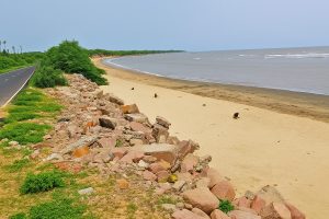 SALAYA FISHERMAN FACING RISK IN FISHING : સલાયા વિસ્તારમાં દરિયાઈ ધોવાણનો ગંભીર ખતરો ઉભો થતા માછીમારોની આજીવિકા પર જોખમ 1 SALAYA FISHERMAN FACING RISK IN FISHING : સલાયા વિસ્તારમાં દરિયાઈ ધોવાણનો ગંભીર ખતરો ઉભો થતા માછીમારોની આજીવિકા પર જોખમ SALAYA FISHERMAN FACING RISK IN FISHING
