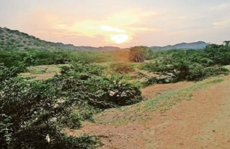 ગોરા ડુંગર ભૂકંપનું કેન્દ્ર બિંદુ