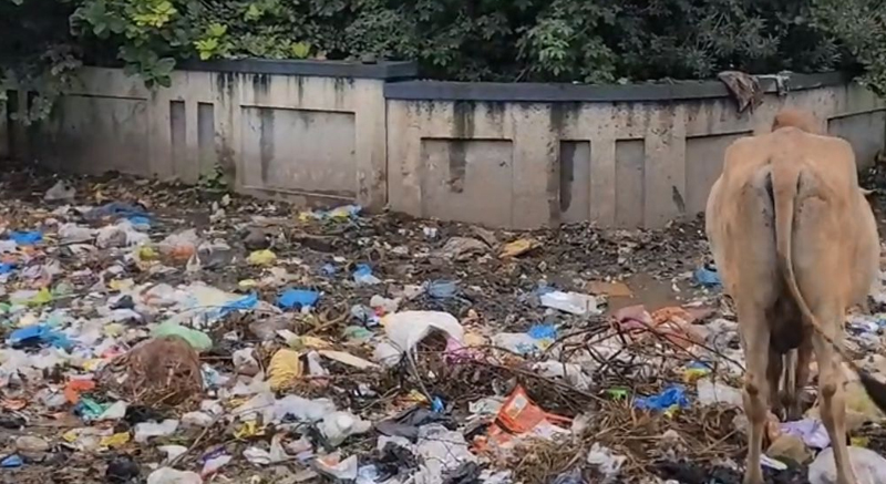 સ્વચ્છતા અભિયાનના લીરેલીરા