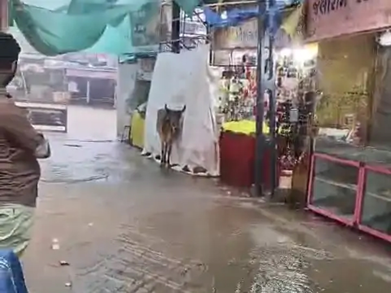 1 INCH RAIN IN MADH
