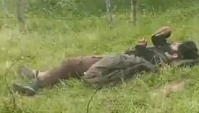 2 TERRORIST KILLED IN JAMMU KASHMIR