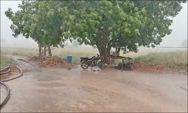 RAIN TODAY IN  KUTCH