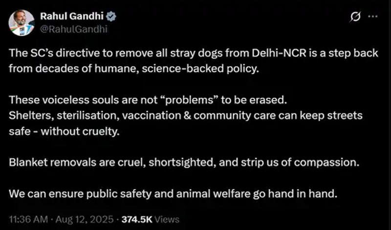 STRAY  DOGS REMOVAL PLAN