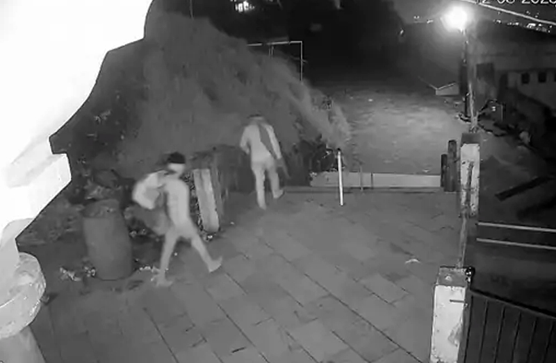 THEFT IN 4 TEMPLE AT  PARNERA