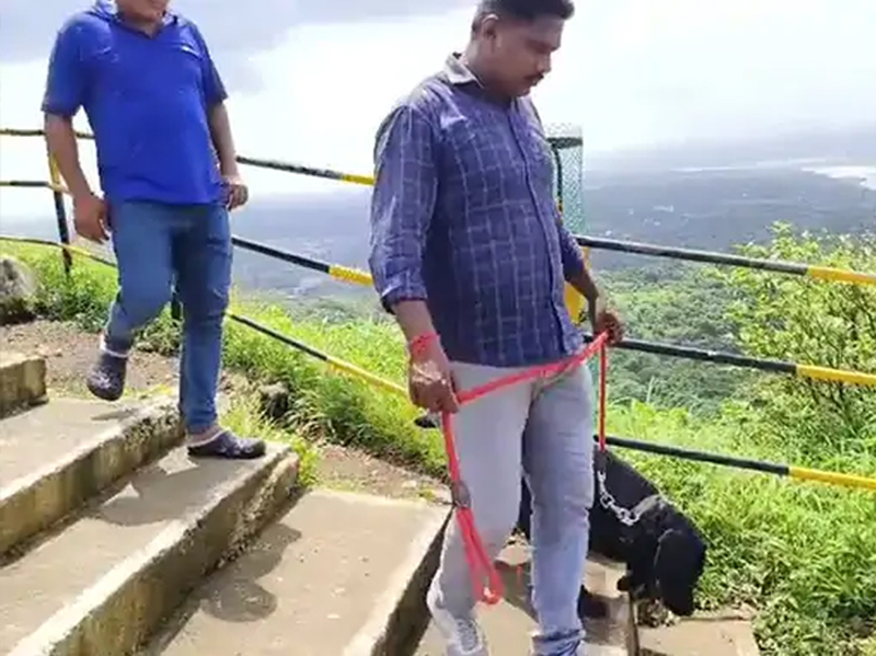 THEFT IN 4 TEMPLE AT  PARNERA