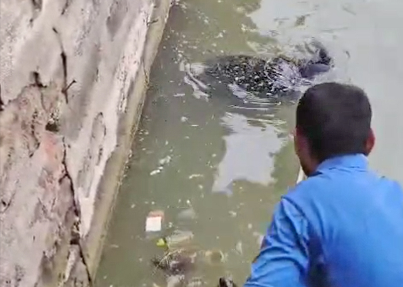 WOMAN DIES IN  HAMIRSAR BHUJ