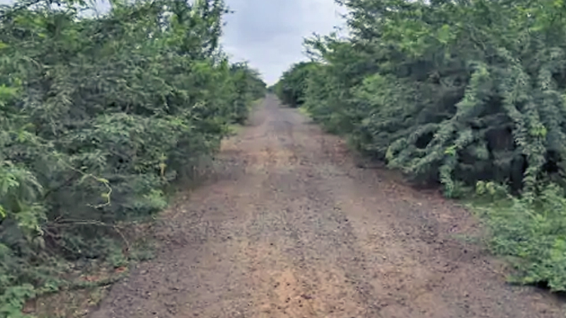 WORST CONDITION OF ROADS 