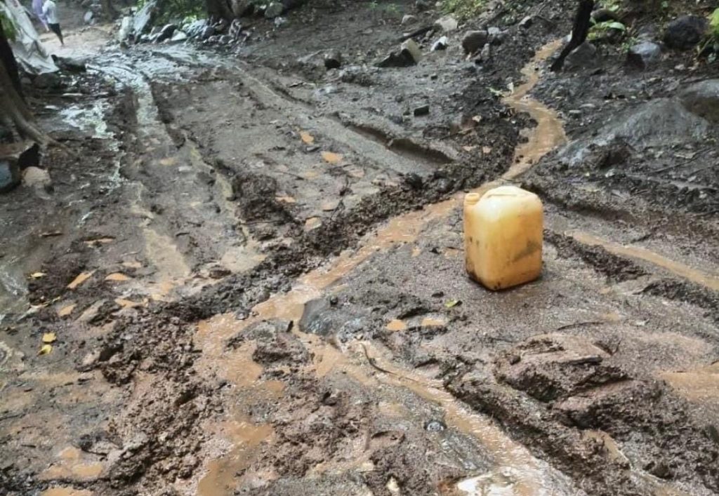 Girnar Lili Parikrama