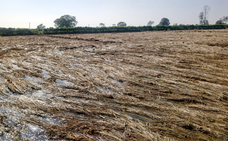 FARMERS RELIEF PACKAGE IN KUTCH