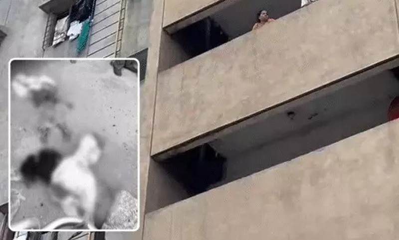 JUMPED FROM  14TH FLOOR