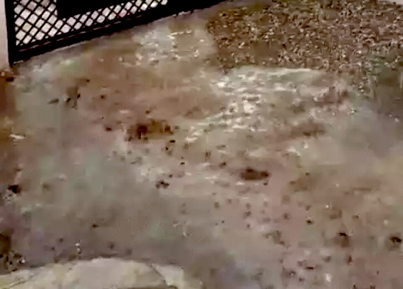 AMNAGAR-BHUJ UNSEASONAL RAIN