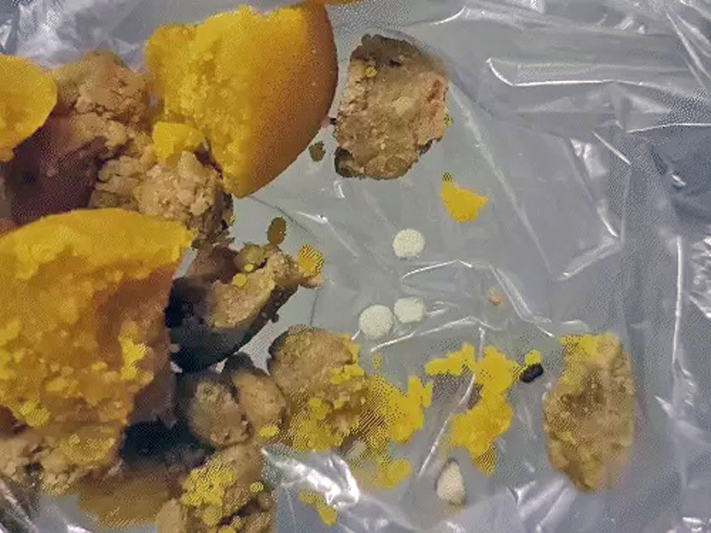 POISONED LADOO IN SURAT : સુરતમાં બુંદીના લાડુમાં ઝેર ભેળવી આખા પરિવારને ખતમ કરવાનું કાવતરું, પાડોશી પર શંકા. 1 POISONED LADOO IN SURAT : સુરતમાં બુંદીના લાડુમાં ઝેર ભેળવી આખા પરિવારને ખતમ કરવાનું કાવતરું, પાડોશી પર શંકા. POISONED LADOO IN SURAT