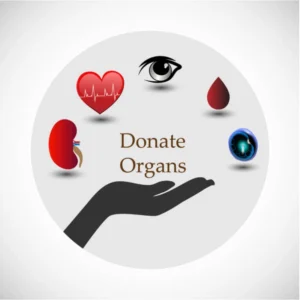 ગુજરાતમાં Gujarat Organ Donation થી હજારો દર્દીઓને નવજીવન: 7 વર્ષમાં 657 દાતાઓ, 2039 અંગોનું દાન છતાં રાજ્ય હજુ ટોચના રાજ્યો કરતાં પાછળ 1 ગુજરાતમાં Gujarat Organ Donation થી હજારો દર્દીઓને નવજીવન: 7 વર્ષમાં 657 દાતાઓ, 2039 અંગોનું દાન છતાં રાજ્ય હજુ ટોચના રાજ્યો કરતાં પાછળ